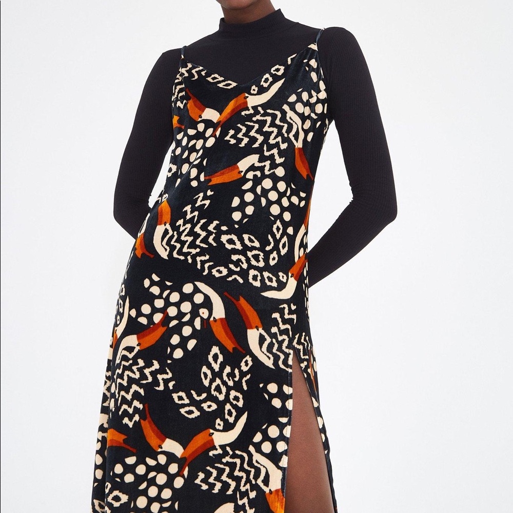 FARM Rio toucan print black velvet slip dress NWT